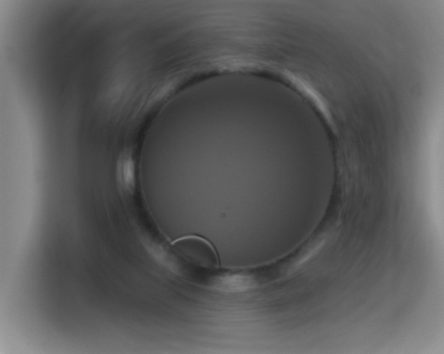 X0000114720067200910211355