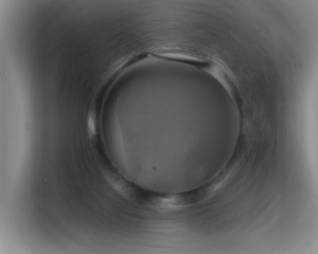 X0000114720068200910211355