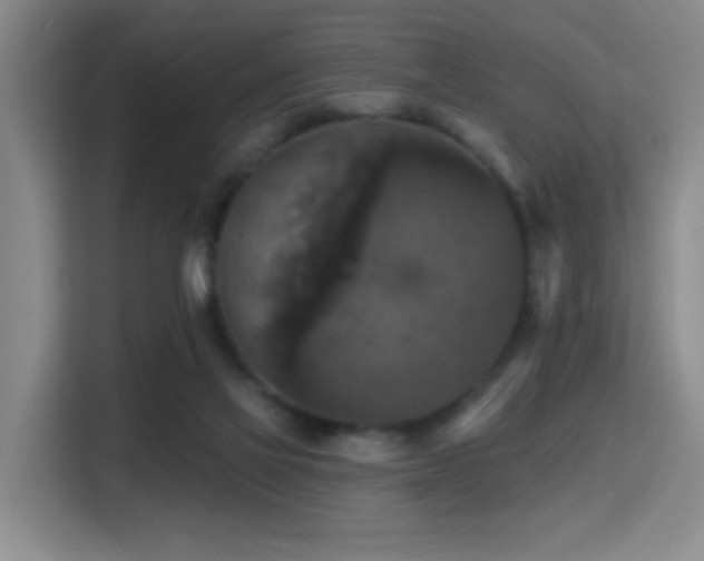 X0000114720069200910211355