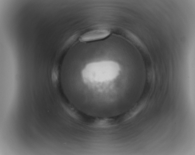 X0000114720072200910211355