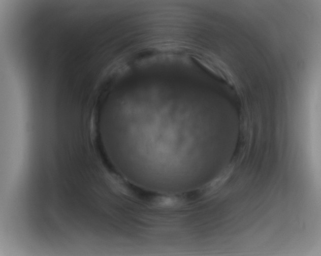 X0000114720074200910211355