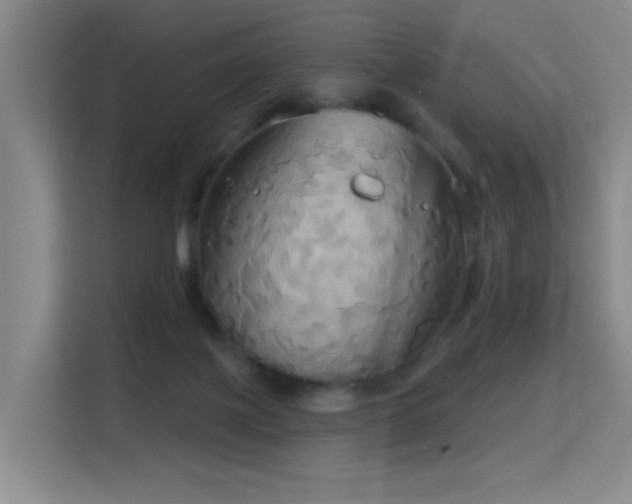 X0000114720075200910211355