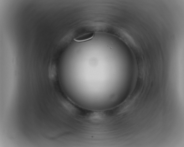 X0000114720077200910211355