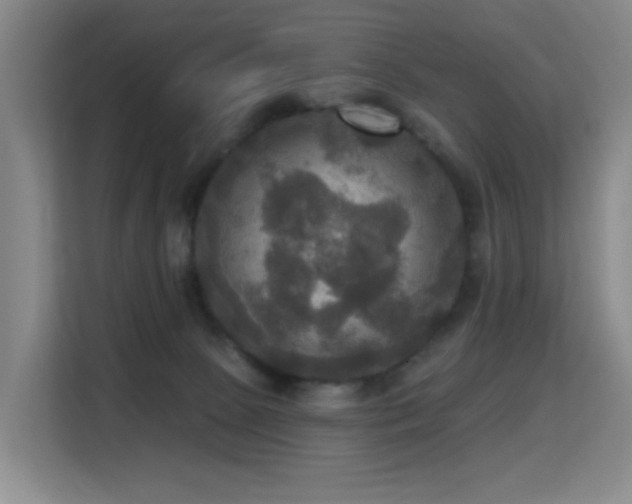 X0000114720081200910211355