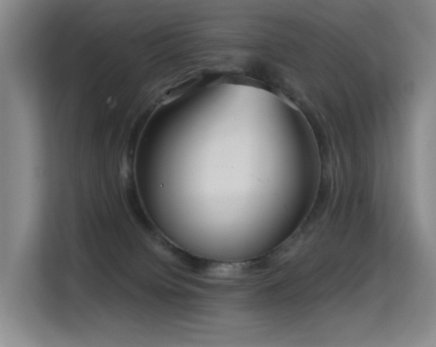 X0000114720084200910211355