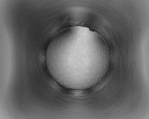 X0000114720085200910211356