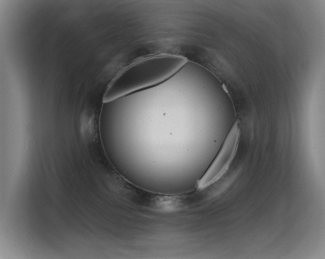 X0000114720088200910211356