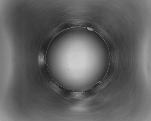 X0000114720089200910211356