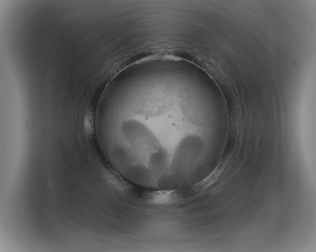 X0000114720090200910211356