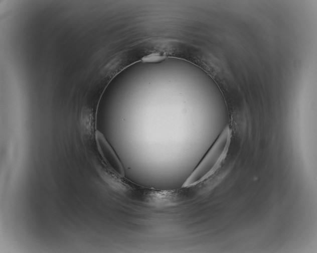 X0000114720092200910211356