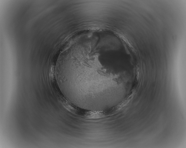 X0000114720093200910211356