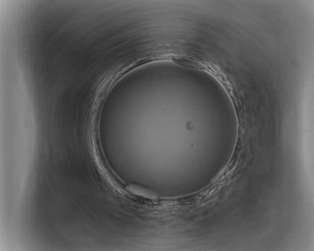 X0000114720097200910211355