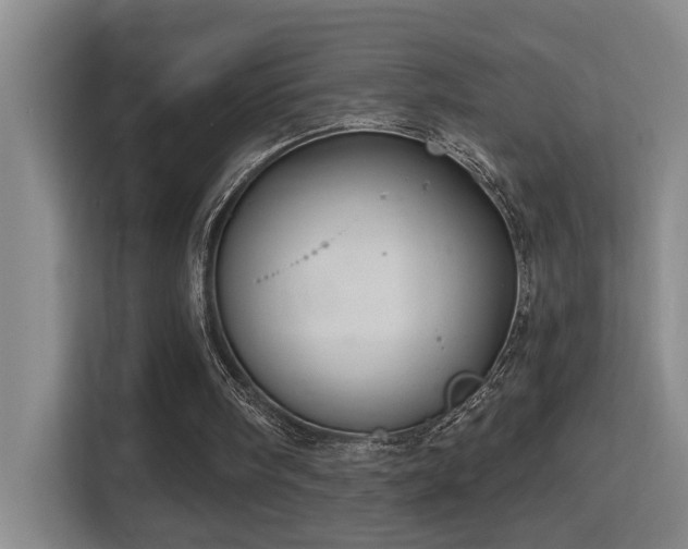 X0000114720098200910211355