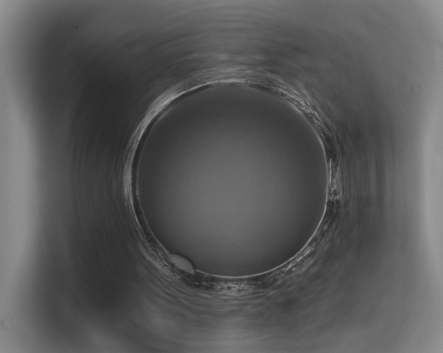 X0000114720099200910211355