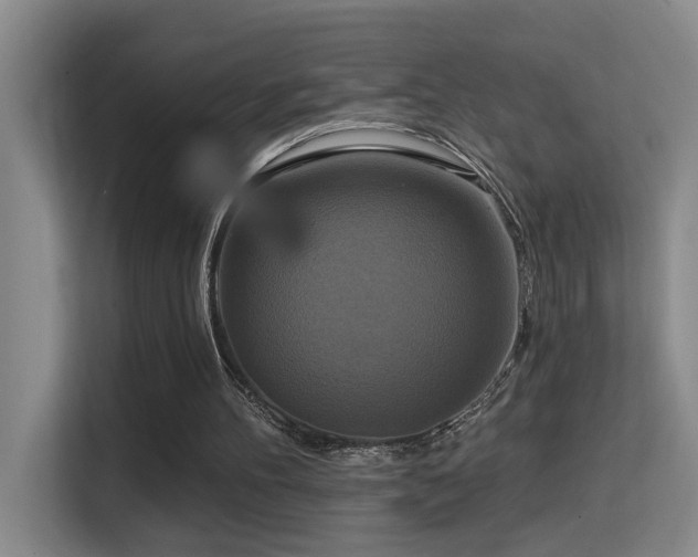 X0000114720100200910211355