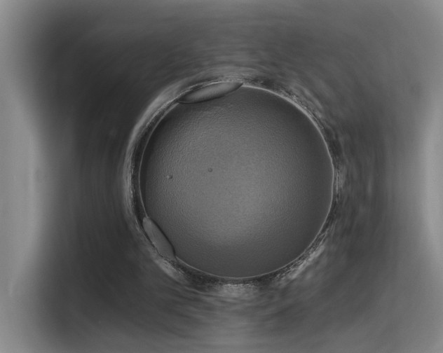 X0000114720101200910211355