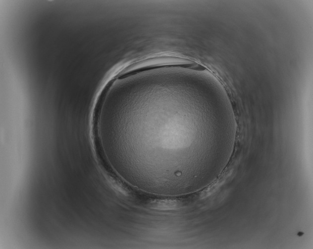 X0000114720104200910211355