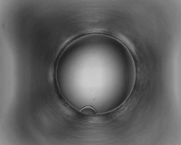 X0000114720107200910211355