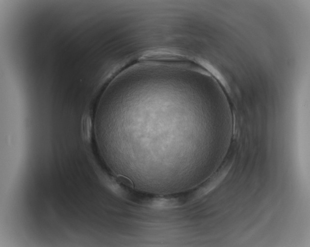 X0000114720109200910211355