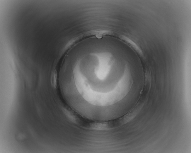 X0000114720110200910211355