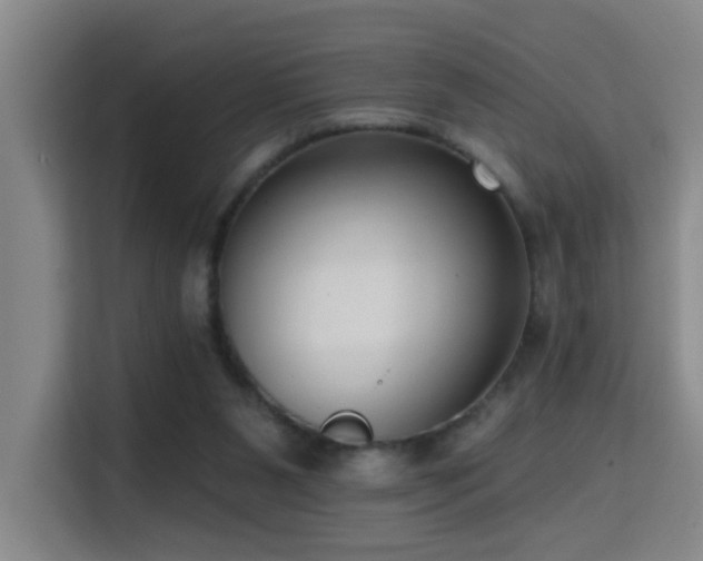 X0000114720111200910211355