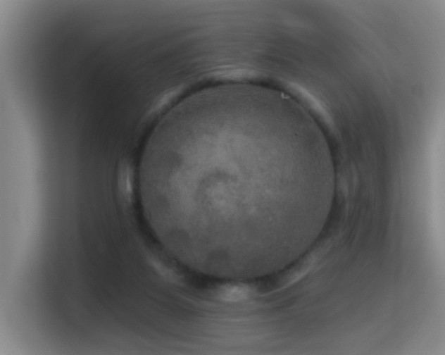 X0000114720115200910211355