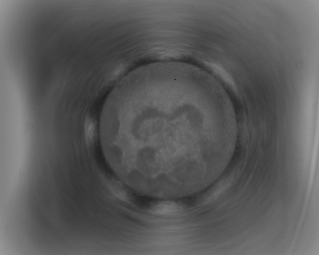 X0000114720123200910211355