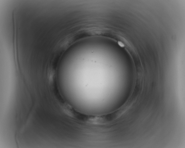 X0000114720125200910211355