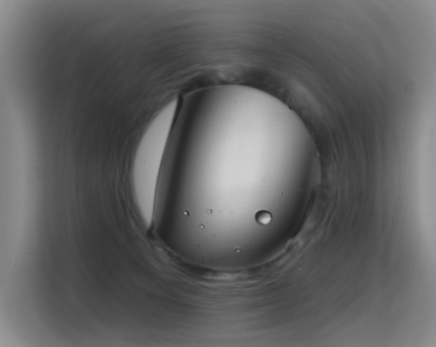 X0000114720129200910211355