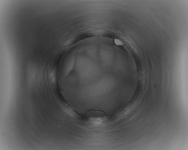 X0000114720131200910211355