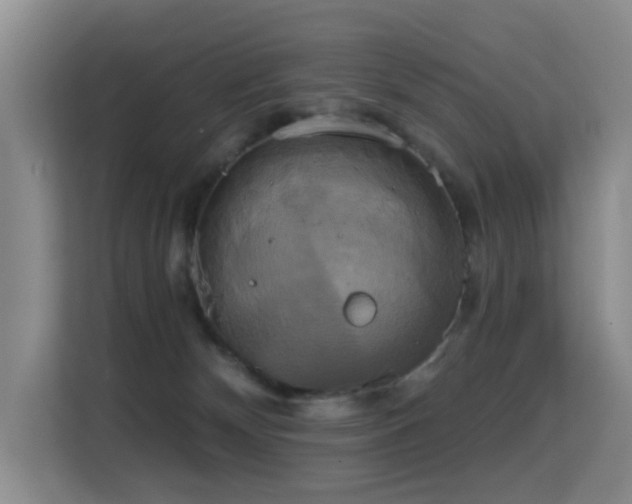 X0000114720132200910211355