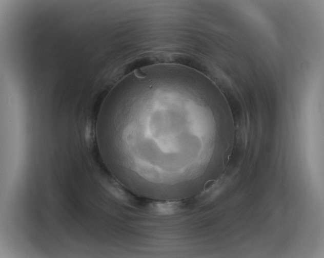 X0000114720134200910211355