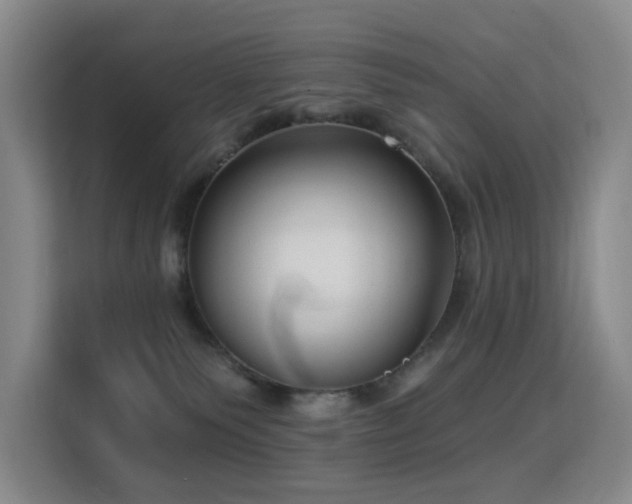 X0000114720135200910211355