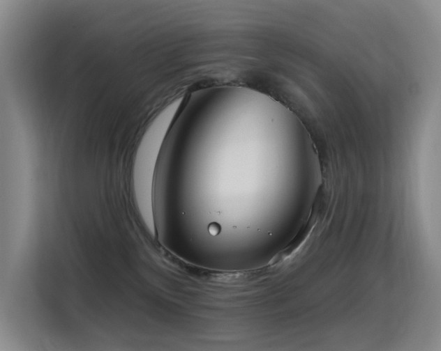 X0000114720136200910211355