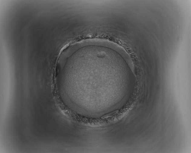 X0000114720144200910211354