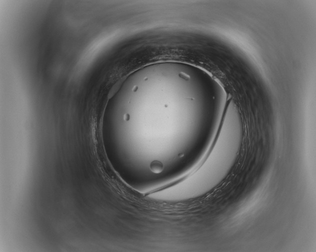 X0000114720146200910211354