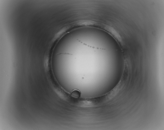 X0000114720159200910211354