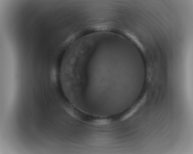 X0000114720161200910211354