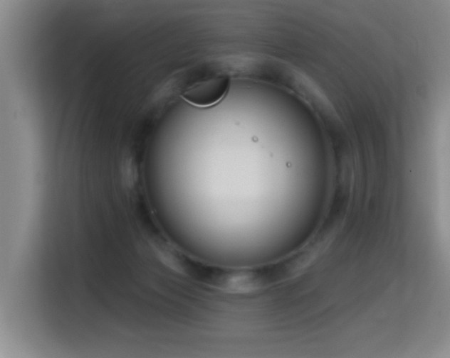 X0000114720173200910211354