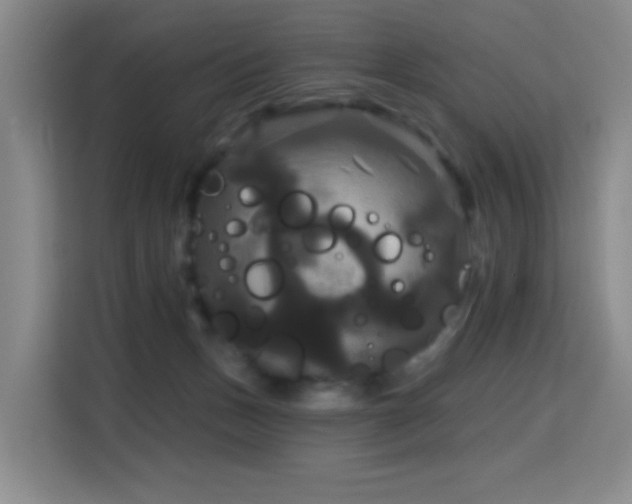 X0000114720175200910211354