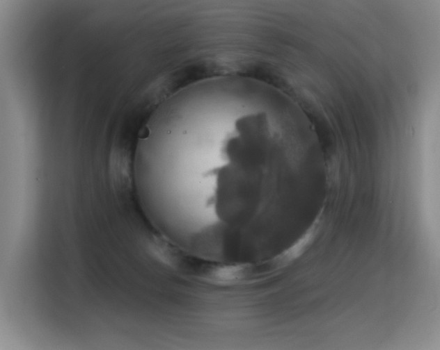 X0000114720178200910211354