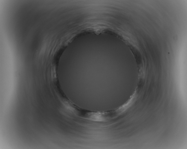 X0000114720182200910211354