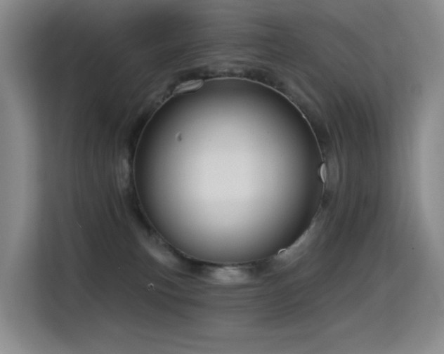 X0000114720183200910211354