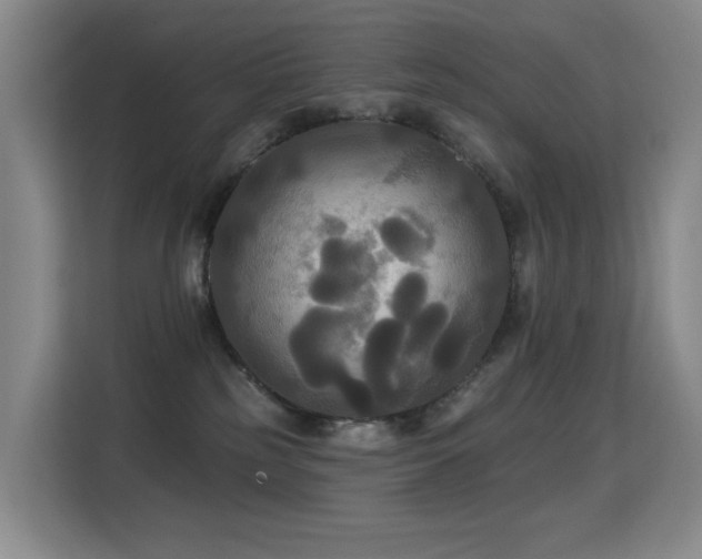 X0000114720185200910211354