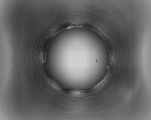 X0000114720187200910211354