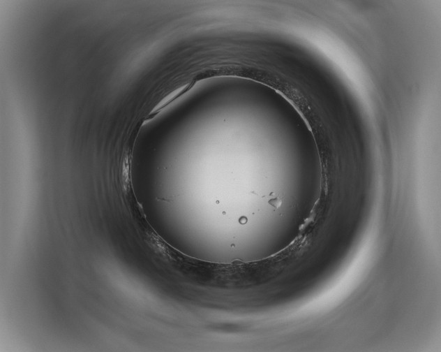 X0000114720190200910211354