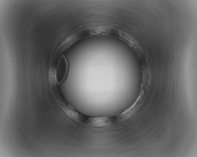 X0000114720191200910211354