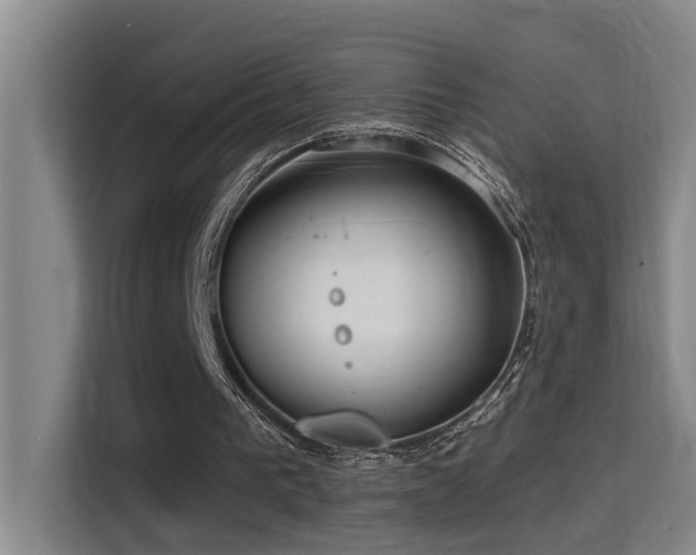 X0000114720193200910211354