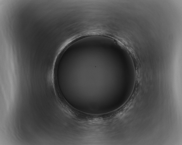 X0000114720196200910211354