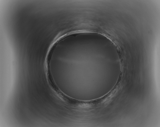 X0000114720198200910211354